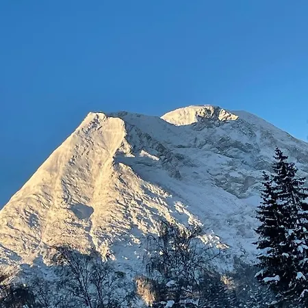 W3 Haus Ganghofer Apartment Leutasch